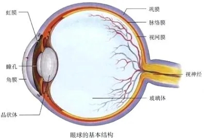 1657935377213752.jpg 20220124160214_4850.jpg