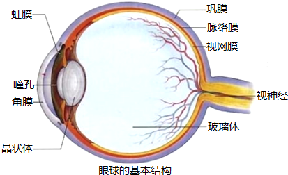 1657941840466370.png 20220311092123_3822.png